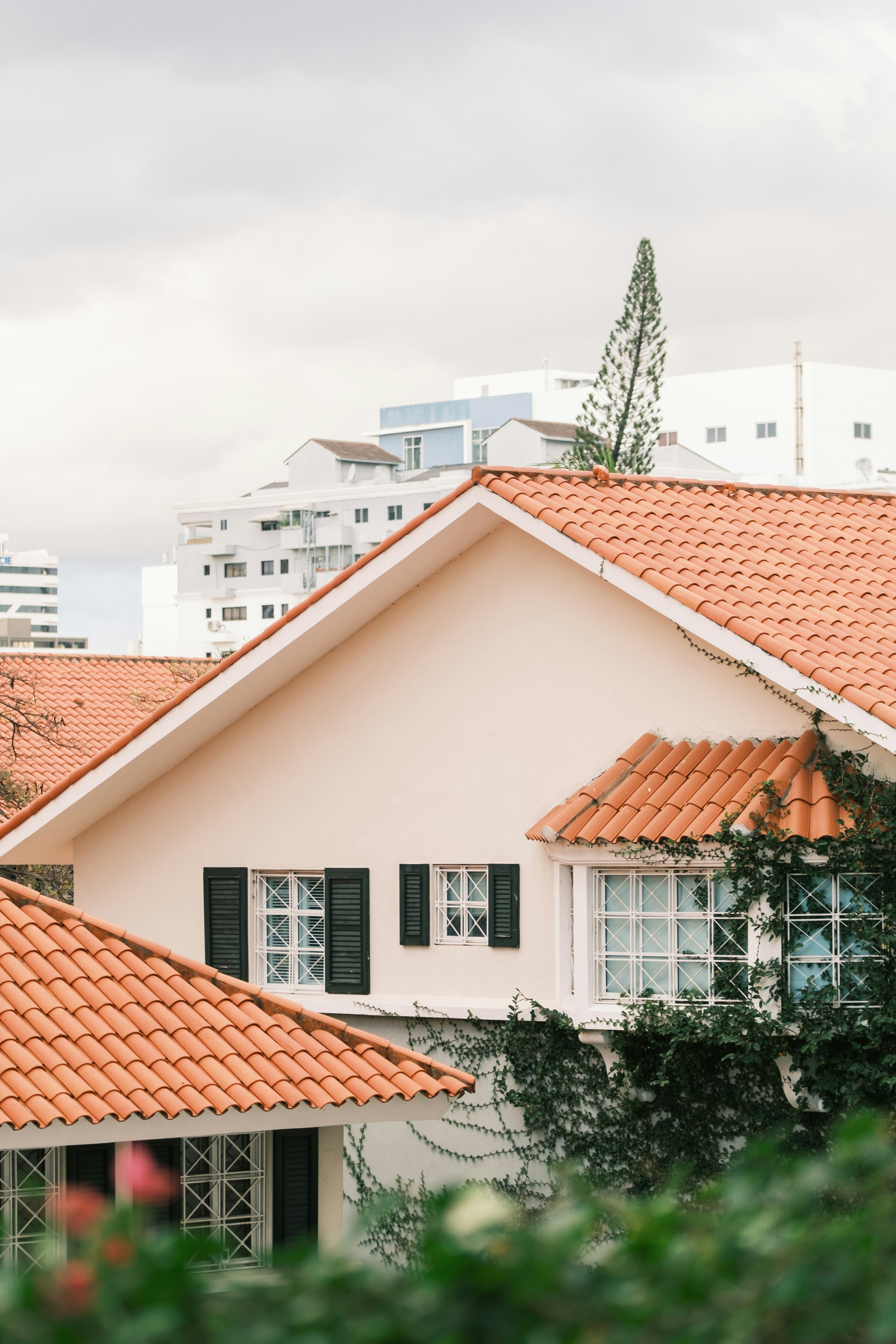 Neighborhood of well-roofed homes